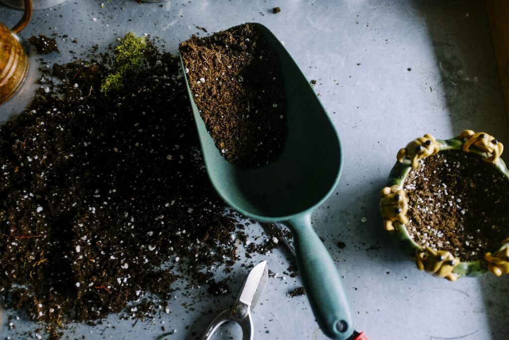 Person tending to potted plants in home garden